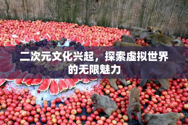 二次元文化兴起，探索虚拟世界的无限魅力