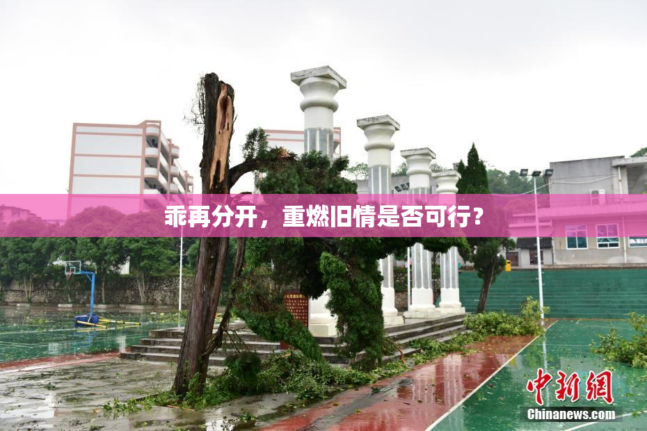 乖再分开，重燃旧情是否可行？