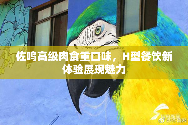 佐鸣高级肉食重口味，H型餐饮新体验展现魅力