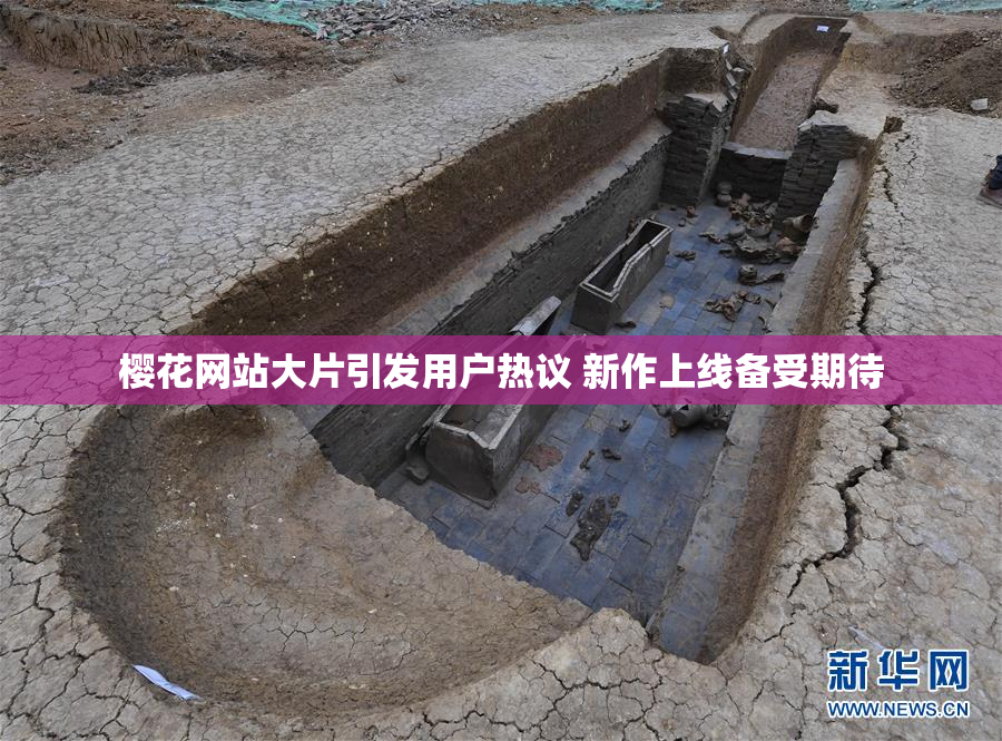 樱花网站大片引发用户热议 新作上线备受期待
