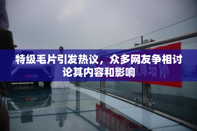 特级毛片引发热议，众多网友争相讨论其内容和影响