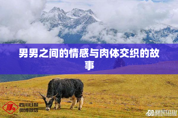 男男之间的情感与肉体交织的故事