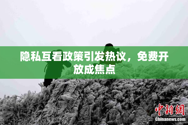 隐私互看政策引发热议，免费开放成焦点