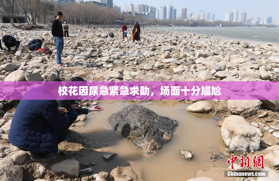 校花因尿急紧急求助，场面十分尴尬