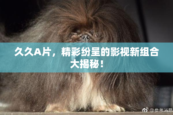 久久A片，精彩纷呈的影视新组合大揭秘！