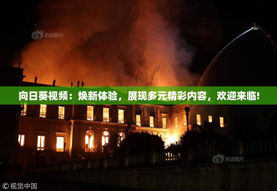 向日葵视频：焕新体验，展现多元精彩内容，欢迎来临!