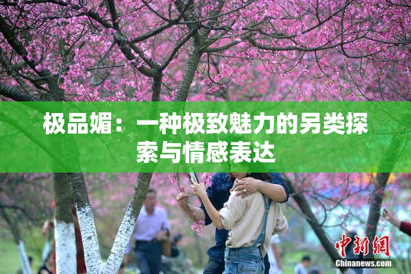 极品媚：一种极致魅力的另类探索与情感表达