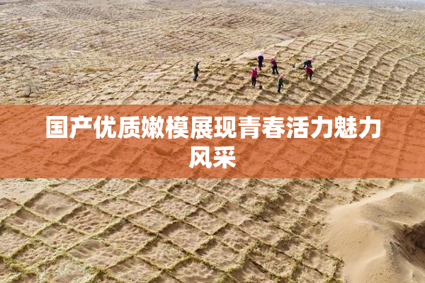 国产优质嫩模展现青春活力魅力风采