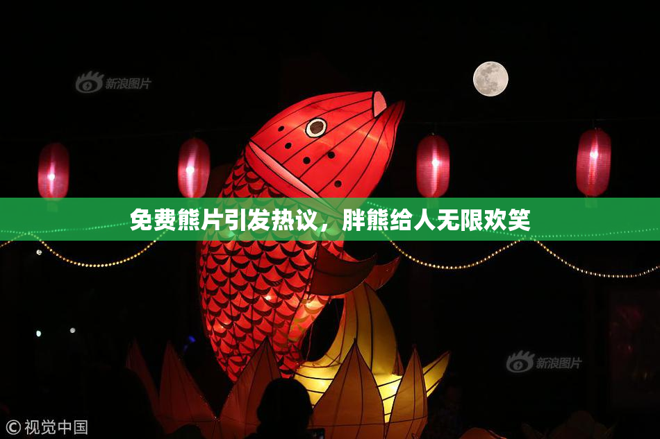 免费熊片引发热议，胖熊给人无限欢笑