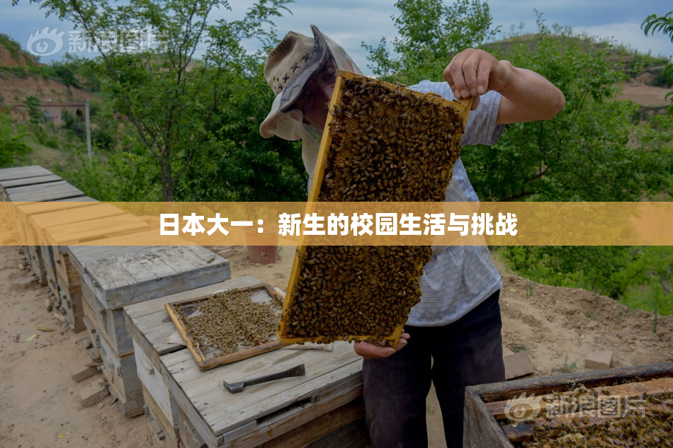 日本大一：新生的校园生活与挑战