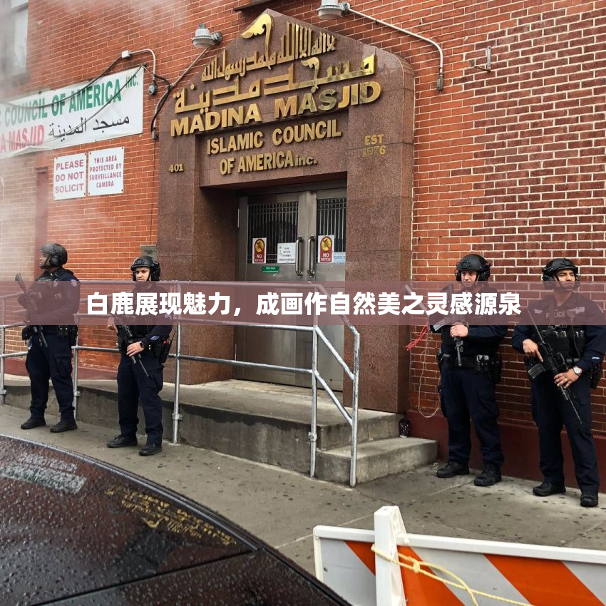 白鹿展现魅力，成画作自然美之灵感源泉