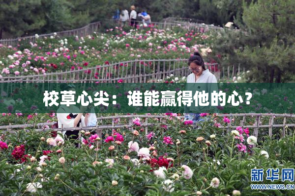 校草心尖：谁能赢得他的心？