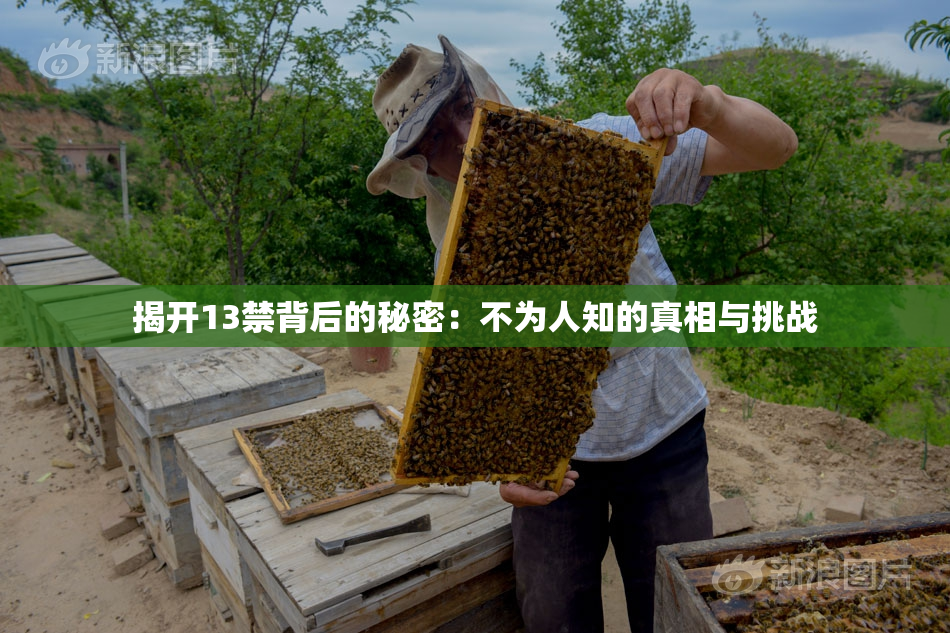 揭开13禁背后的秘密：不为人知的真相与挑战
