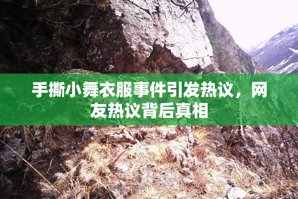 手撕小舞衣服事件引发热议，网友热议背后真相