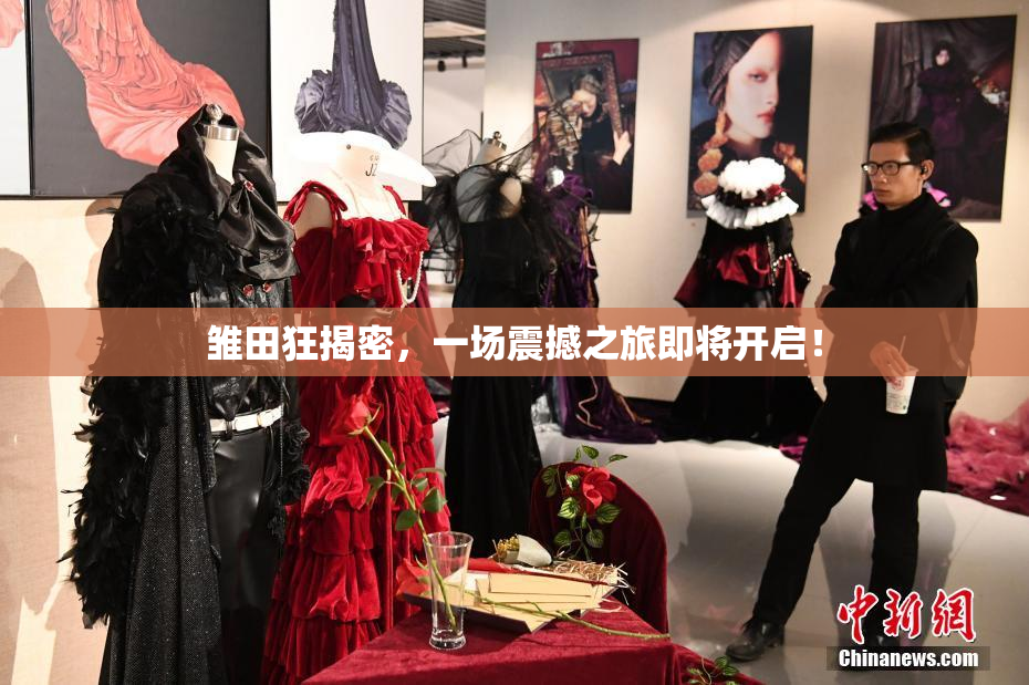 雏田狂揭密，一场震撼之旅即将开启！