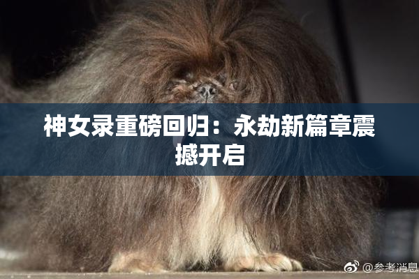 神女录重磅回归：永劫新篇章震撼开启