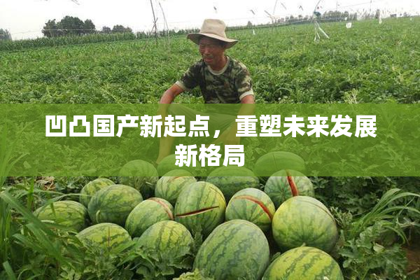 凹凸国产新起点，重塑未来发展新格局