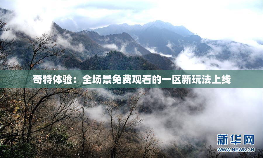 奇特体验：全场景免费观看的一区新玩法上线