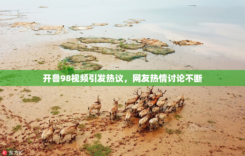 开鲁98视频引发热议，网友热情讨论不断