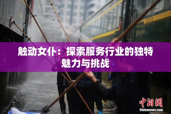 触动女仆：探索服务行业的独特魅力与挑战