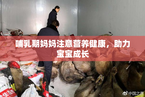 哺乳期妈妈注意营养健康，助力宝宝成长