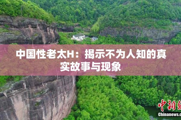 中国性老太H：揭示不为人知的真实故事与现象