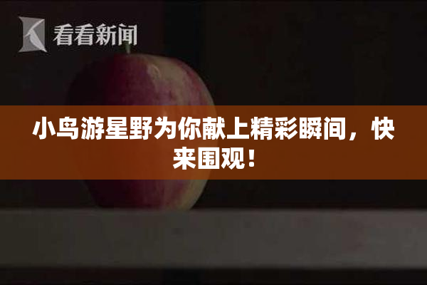 小鸟游星野为你献上精彩瞬间，快来围观！
