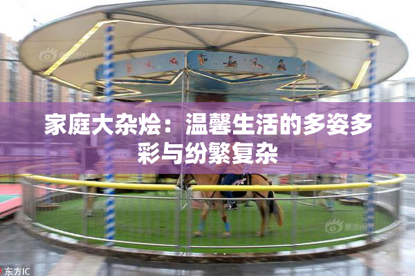 家庭大杂烩：温馨生活的多姿多彩与纷繁复杂