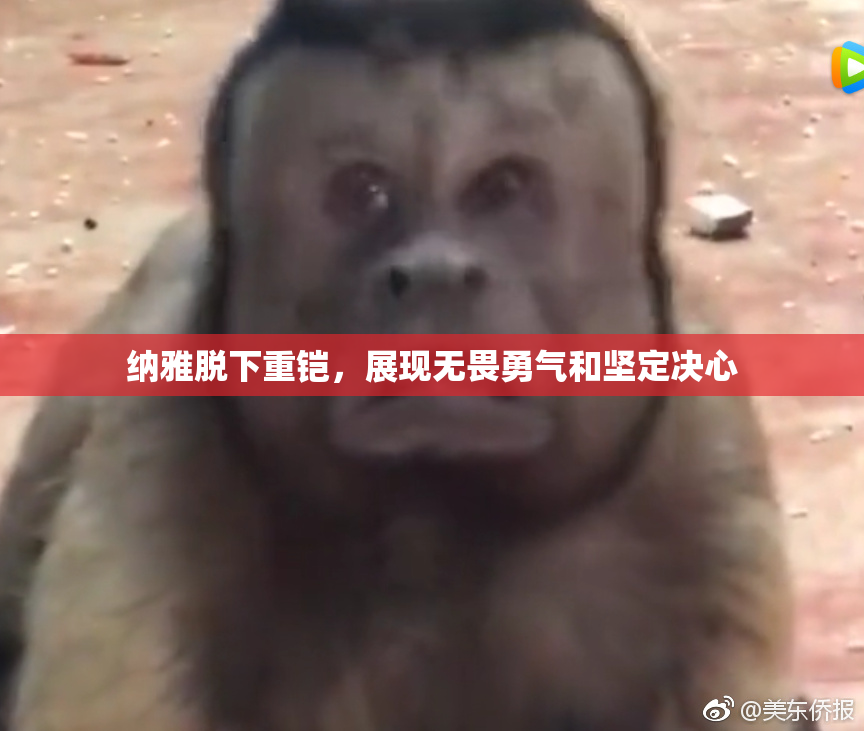 纳雅脱下重铠，展现无畏勇气和坚定决心