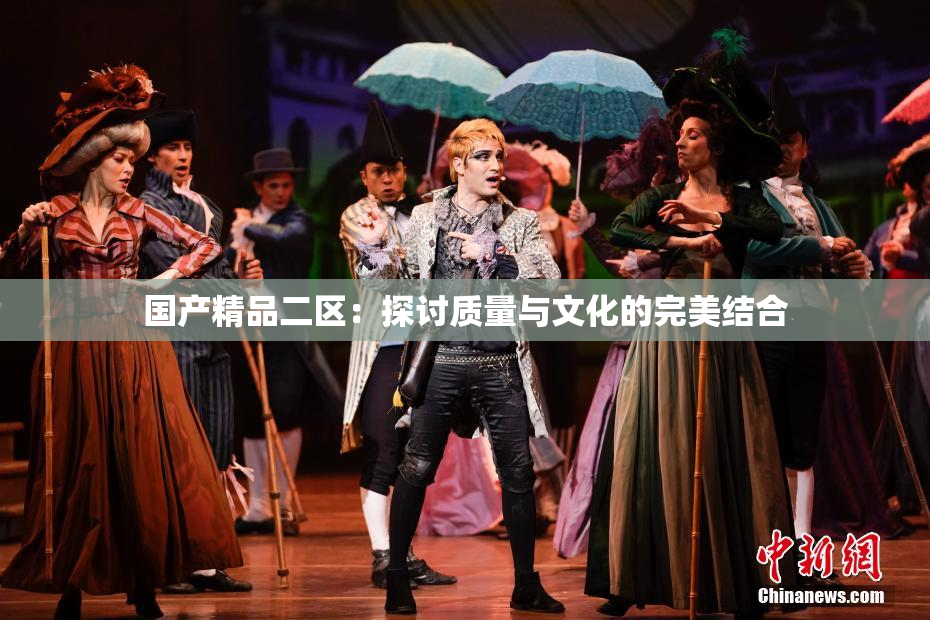 国产精品二区：探讨质量与文化的完美结合