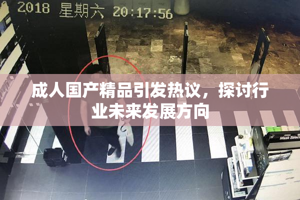 成人国产精品引发热议，探讨行业未来发展方向