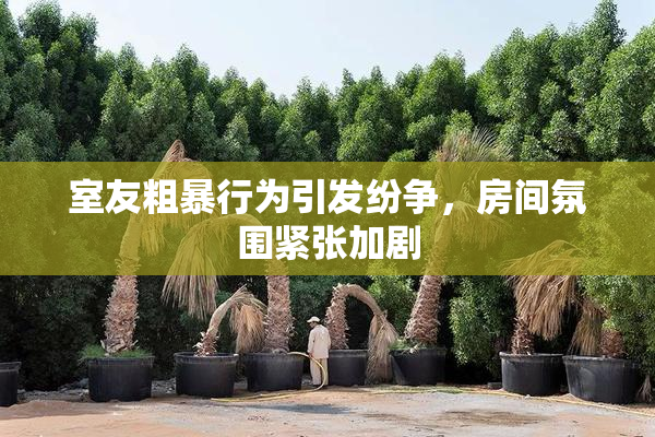 室友粗暴行为引发纷争，房间氛围紧张加剧