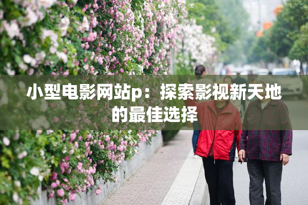 小型电影网站p：探索影视新天地的最佳选择