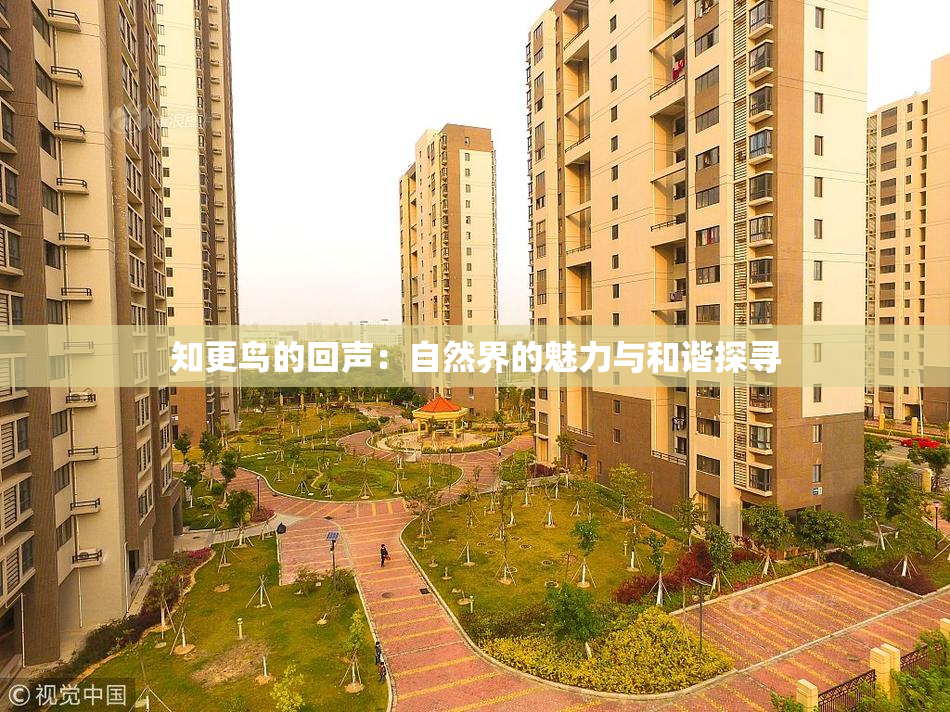 知更鸟的回声：自然界的魅力与和谐探寻
