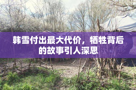 韩雪付出最大代价，牺牲背后的故事引人深思