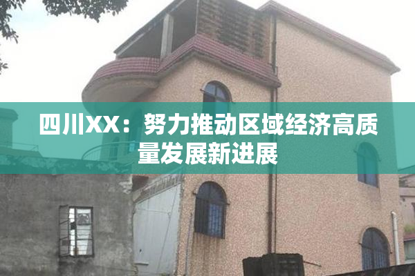 四川XX：努力推动区域经济高质量发展新进展