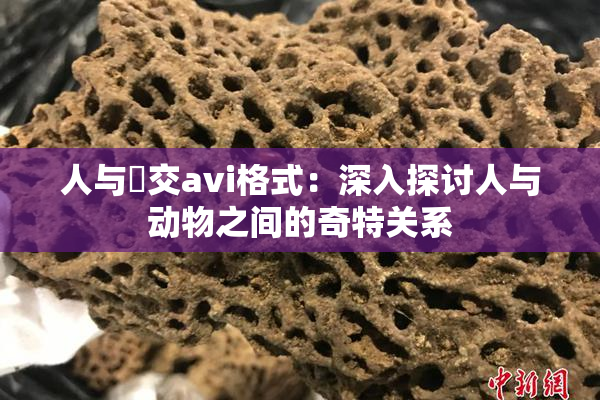 人与嘼交avi格式：深入探讨人与动物之间的奇特关系