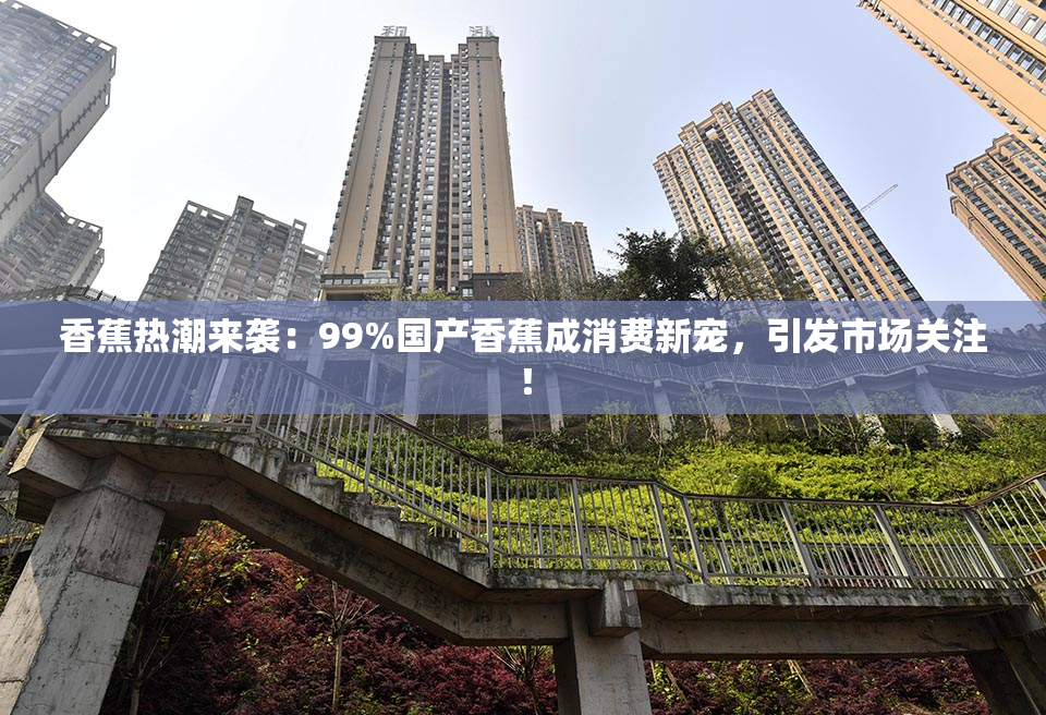 香蕉热潮来袭：99%国产香蕉成消费新宠，引发市场关注！