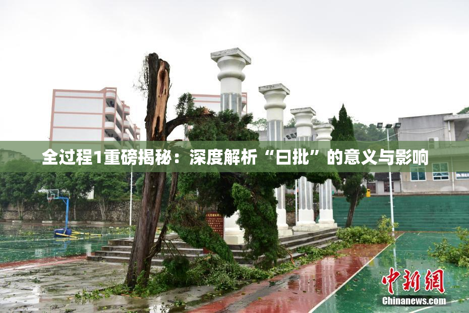 全过程1重磅揭秘：深度解析“曰批”的意义与影响