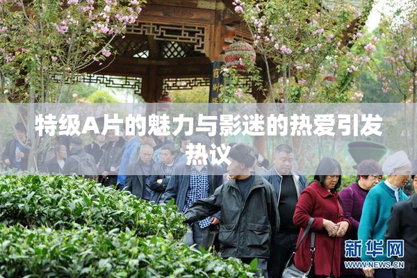 特级A片的魅力与影迷的热爱引发热议