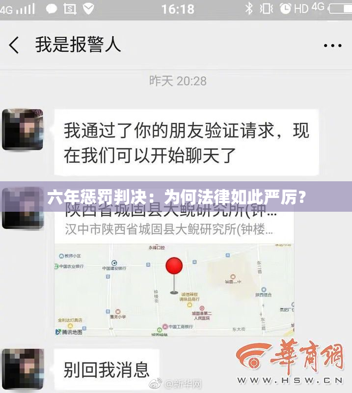 六年惩罚判决：为何法律如此严厉？