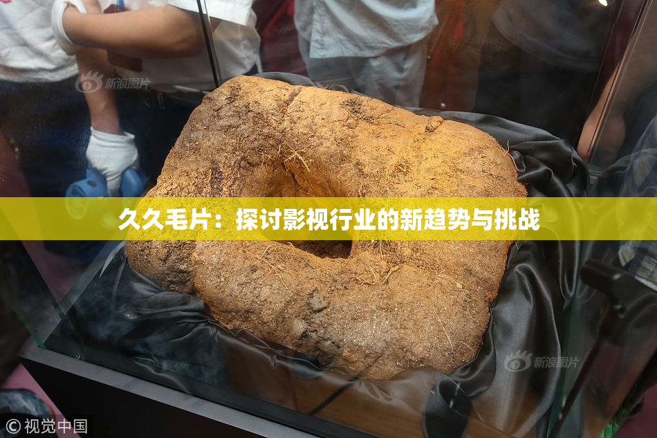 久久毛片：探讨影视行业的新趋势与挑战