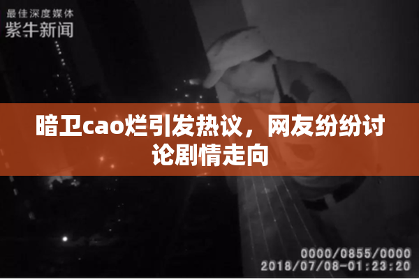 暗卫cao烂引发热议，网友纷纷讨论剧情走向