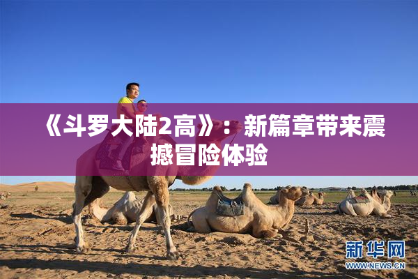 《斗罗大陆2高》：新篇章带来震撼冒险体验