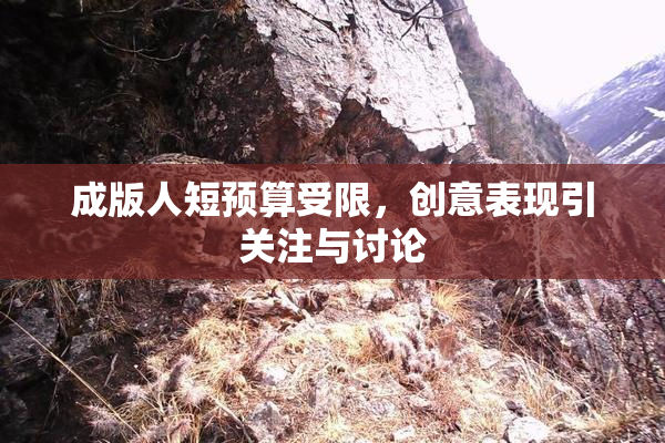 成版人短预算受限，创意表现引关注与讨论