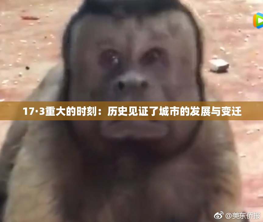 17·3重大的时刻：历史见证了城市的发展与变迁