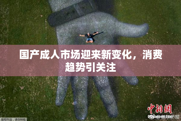 国产成人市场迎来新变化，消费趋势引关注