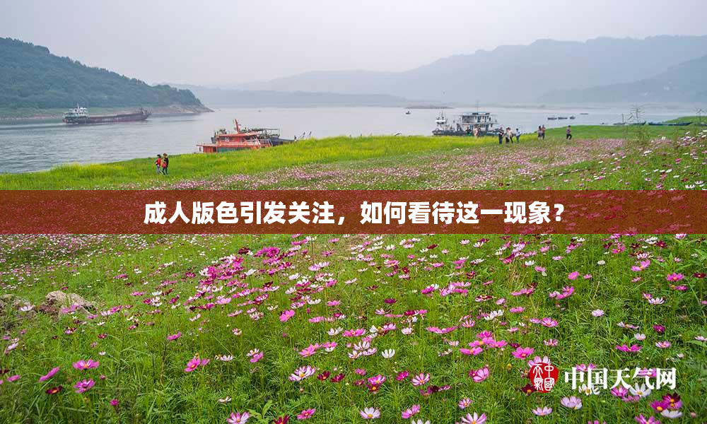 成人版色引发关注，如何看待这一现象？
