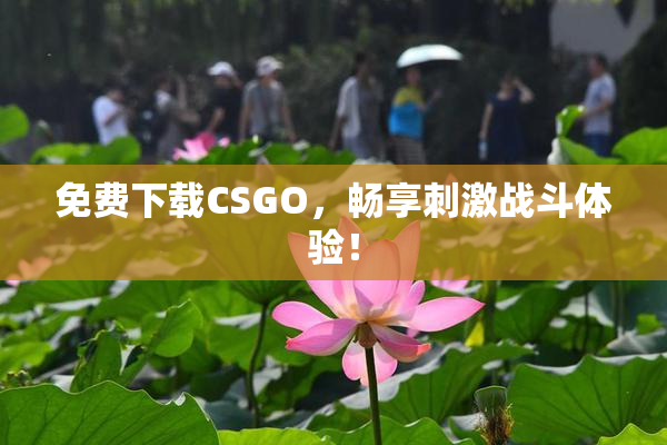 免费下载CSGO，畅享刺激战斗体验！