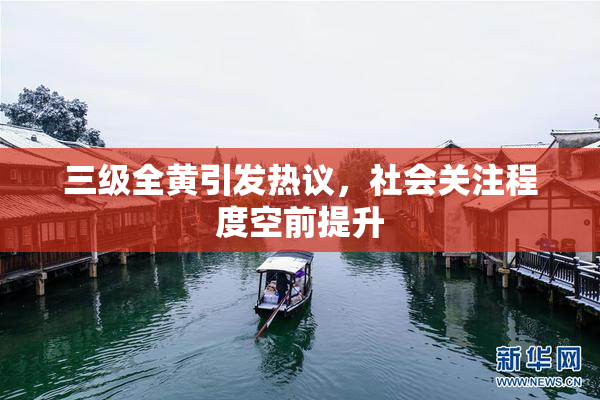 三级全黄引发热议，社会关注程度空前提升